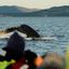 Top 5 Quebec whale watching cruises and tours