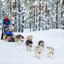 The 5 best places to go dog sledding in Quebec