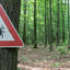 Comment se protéger des tiques et la maladie de lyme&nbsp;?