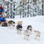 The 5 best places to go dog sledding in Quebec