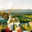 TOP 5 des vignobles à visiter au Québec