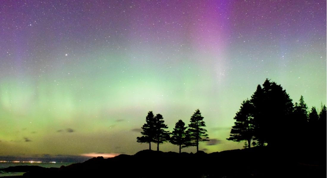 Aurore boréale Québec Aurore boréale au-dessus des sapins