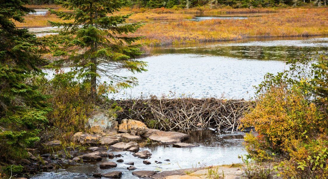 iStock-614722202 @Instants Wapizagonke lake Mauricie kayak
