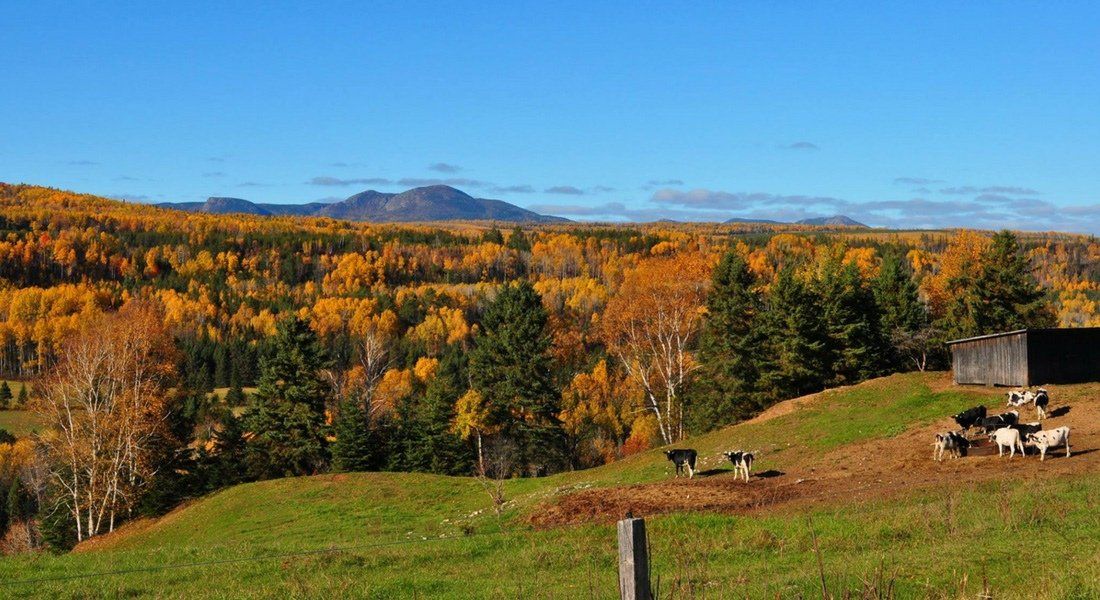 Crédit photo : Annie Bolduc Charlevoix lors d'un road trip lors de l'été indien au Québec