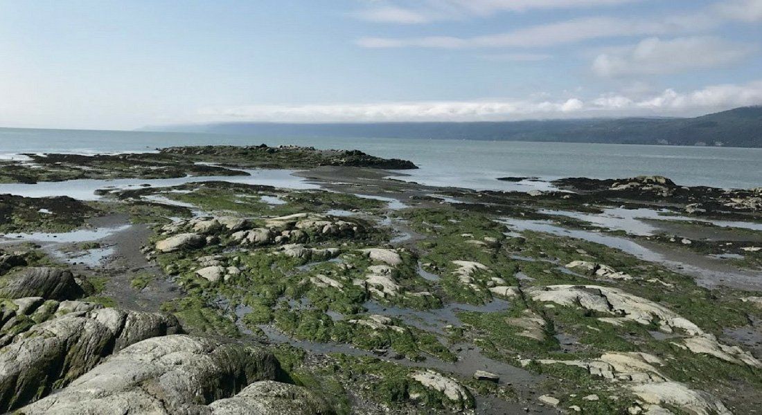 isle aux coudres travel Isle-aux-Coudres, Charlevoix