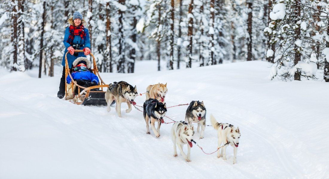Femme en train de faire du chien de traineau dans la forêt