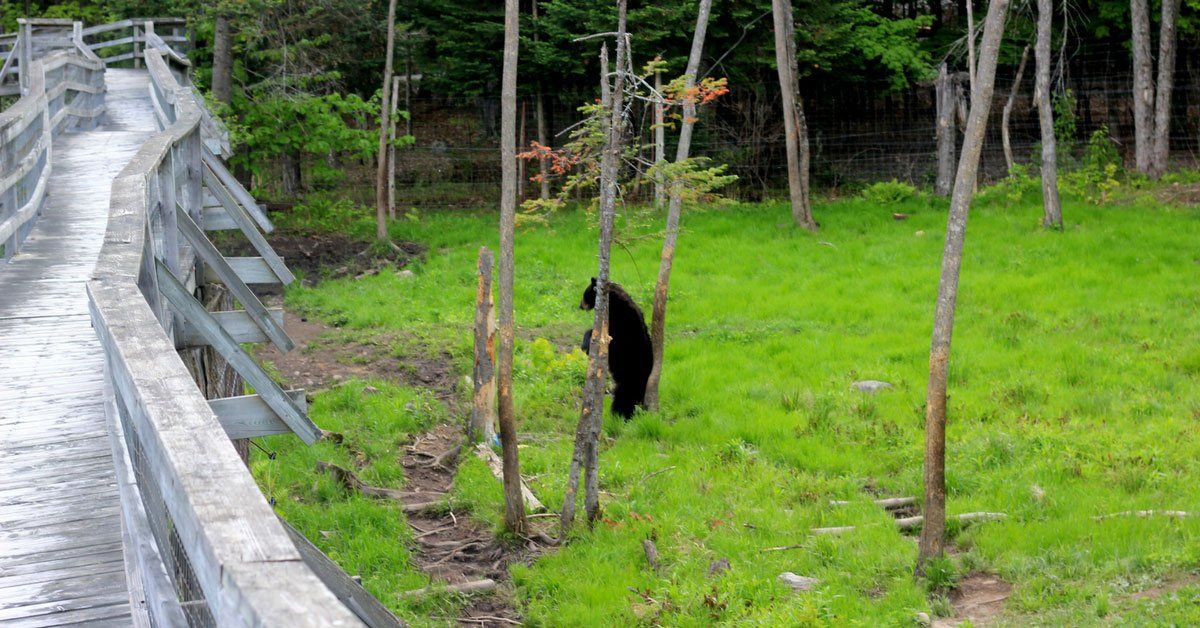 best summer adventures in quebec
