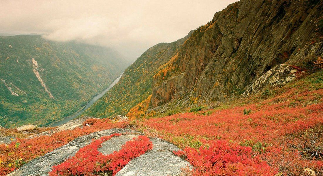 L'Acropole-des-Draveurs au automne