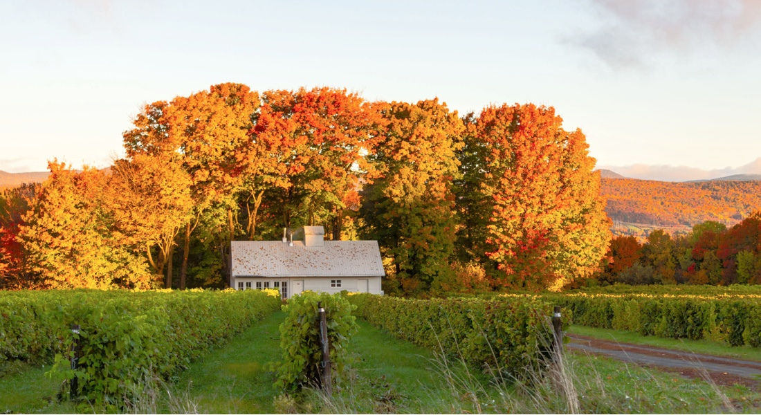 Autumn setting, Saint-Pierre-de-l'île-d'Orléans saint-pierre-de-l'ile-d'orleans