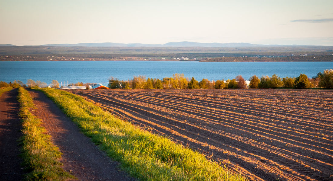 View of a field, île d'Orléans ile d'orleans quebec what to do