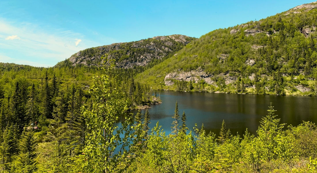 Sentier boisé Lac des Cygnes Panorama Charlevoix Lac des Cygnes