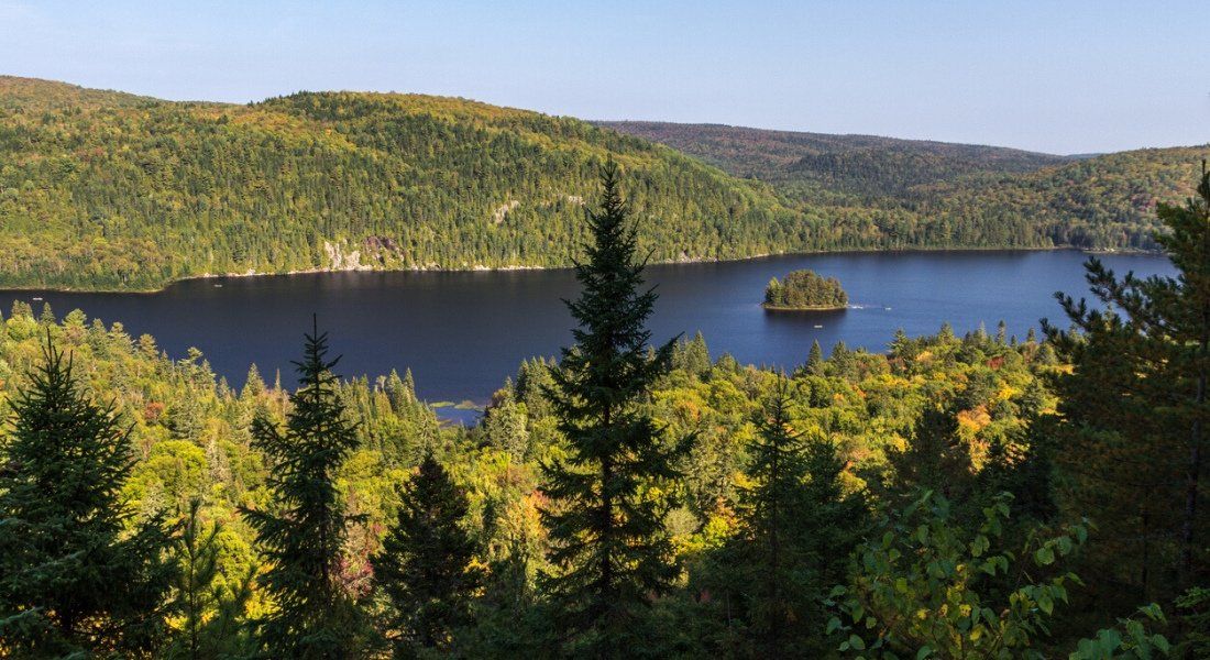 iStock-1006179292 @Julen Arabaolaza chute waber blog