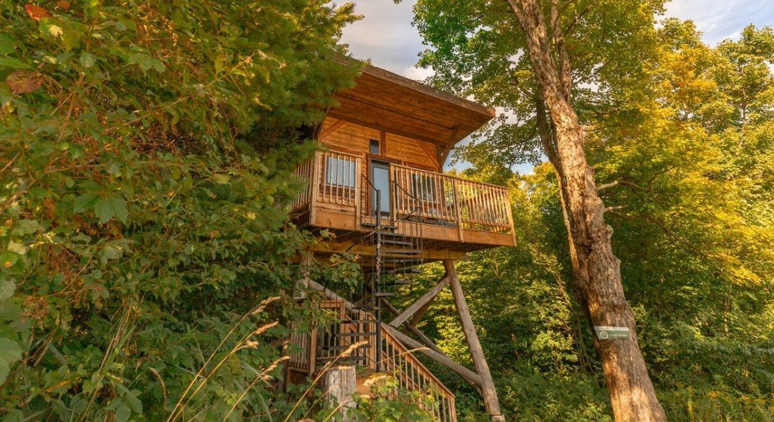 Diable Vert Maison dans les arbres au Diable Vert