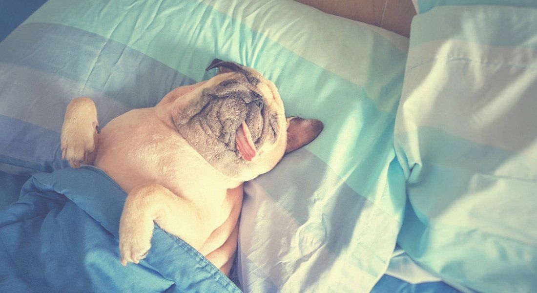 Au Québec, on dit fin de semaine à la place de week-end