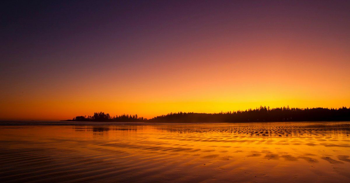 pacific rim beach driving pacific rim highway