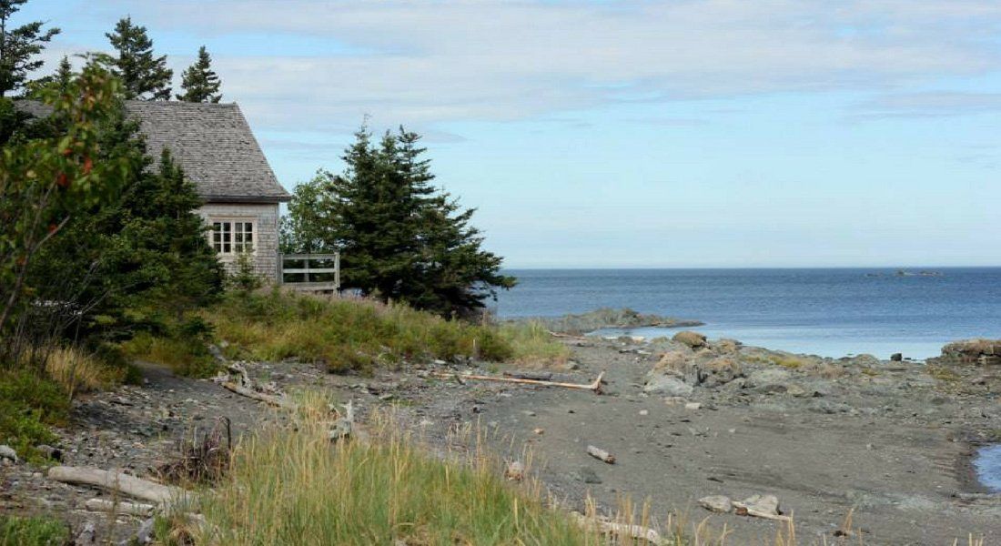 bic national park seals Hiking, Bic National Park