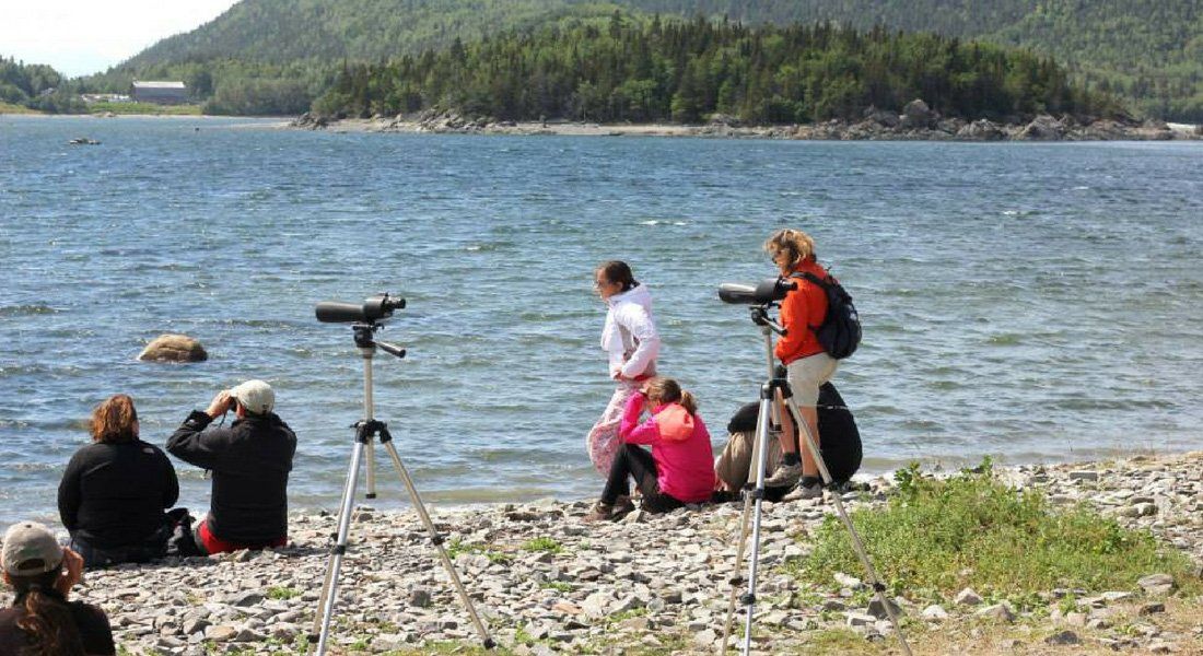 things to do in bic national park Birdwatching in Bic National Park