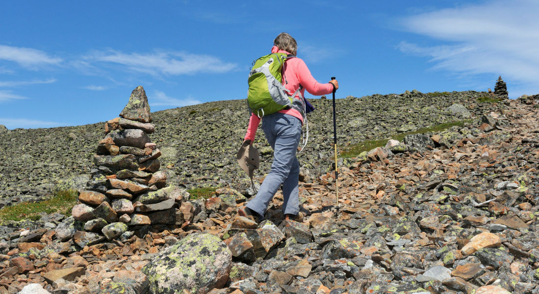 what to do in gaspesie national park Hiking in Gaspésie National Park