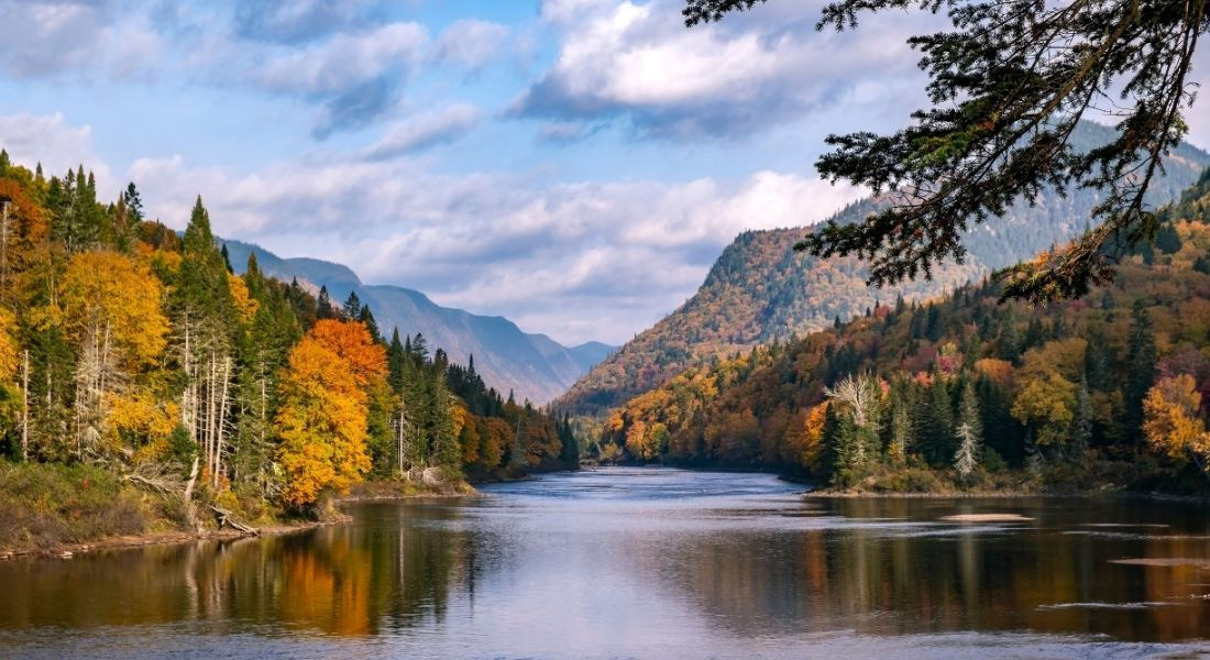 Le parc de la Jacques-Cartier en automne Rivière coulant au coeur du parc national de la Jacques-Cartier entouré de montagnes et d'arbres rouges orangés