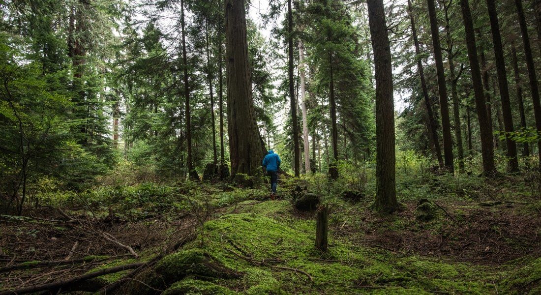 Stanley Park Vancouver