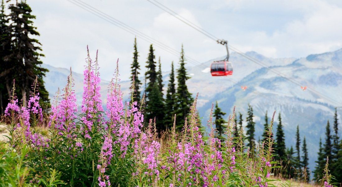Télécabine Peak 2 Peak au printemps à Whistler Road trip Canada