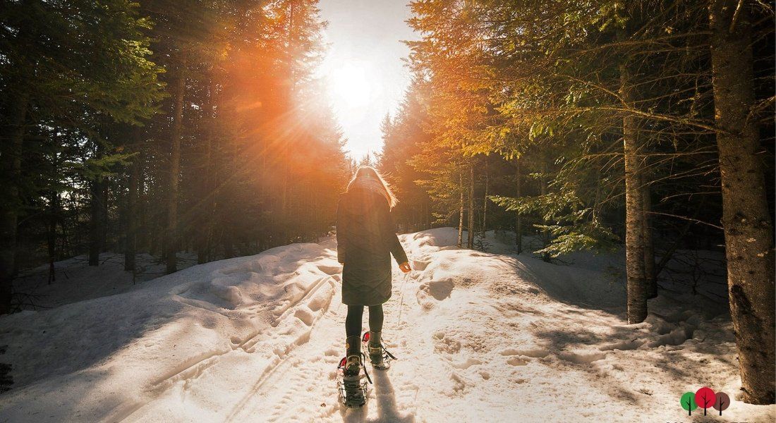 Sentier de randonnée d'hiver Raquettes à neige canadiennes