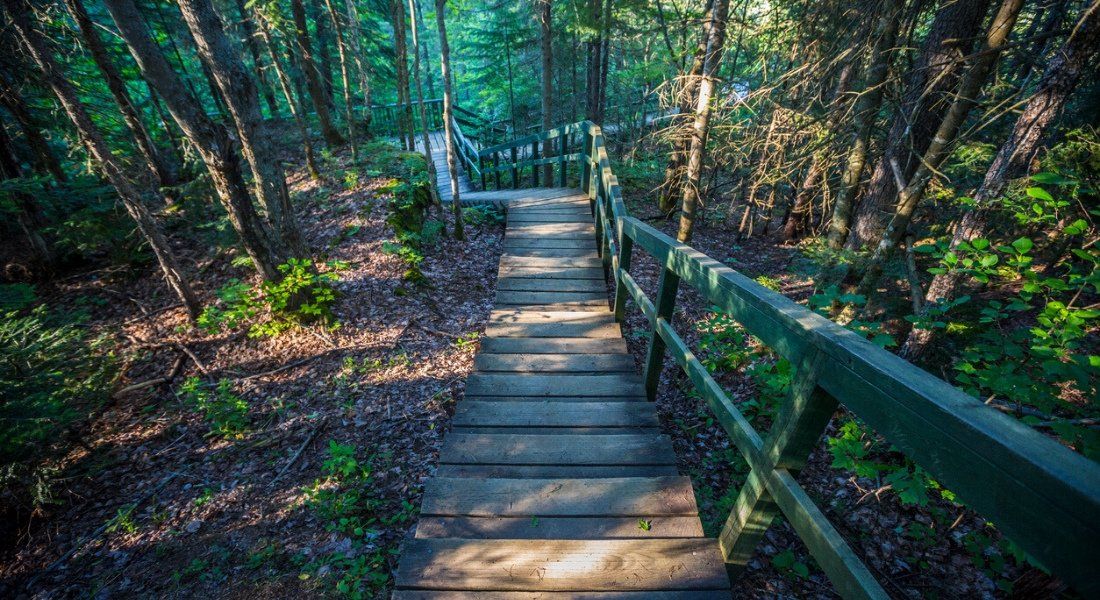 iStock-476224399 @Instants hiking Mauricie park