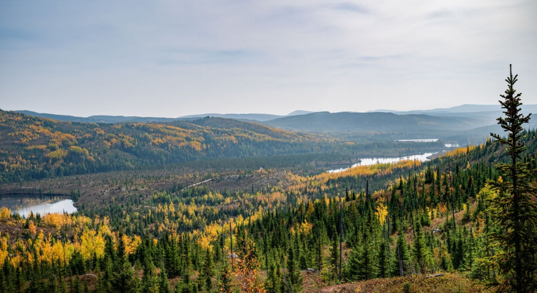 Le Parc national des Grands-Jardins à Charlevoix Territoires charlevoix