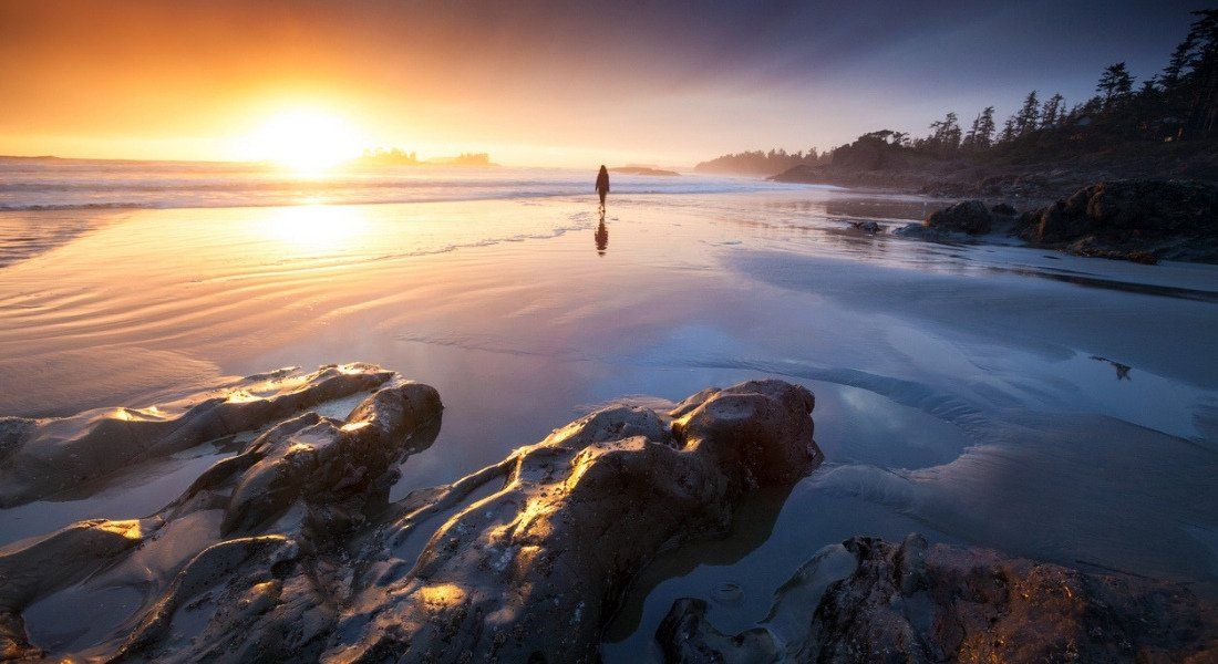 Observation du coucher du soleil à Tofino