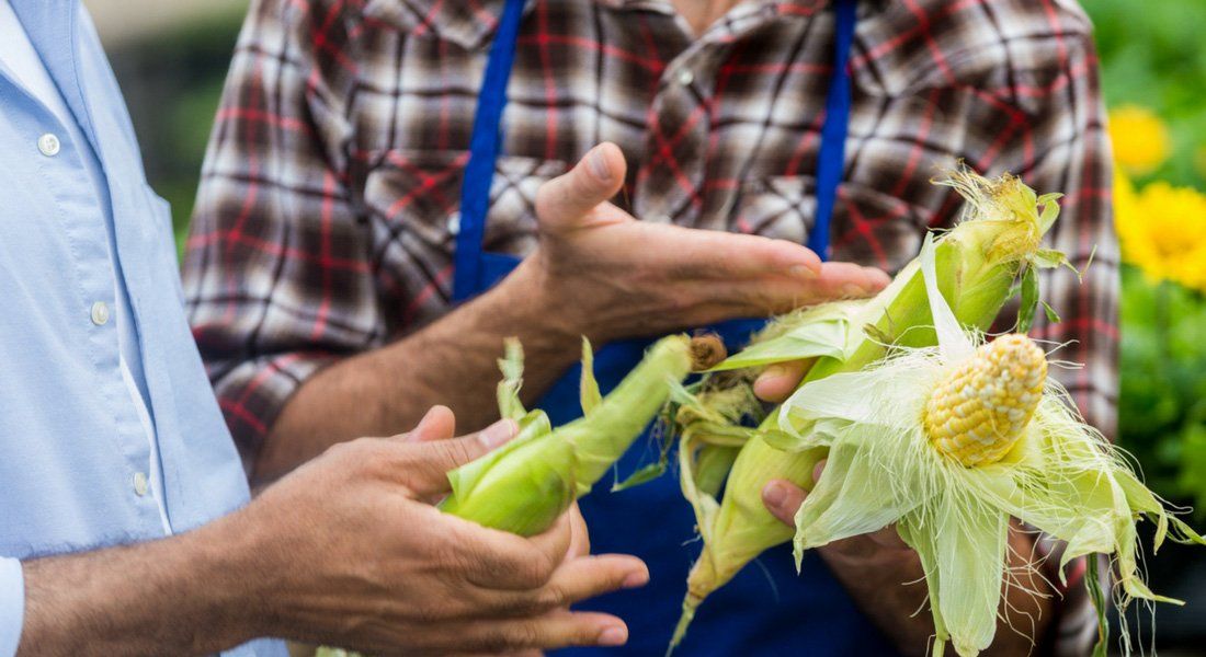 Traditions québécoise