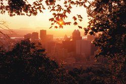 Downtown Montreal, view from Mount Royal