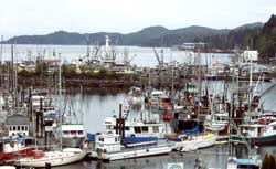 Port Hardy travel guide 2024
