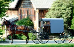 Amish Community, Lancaster