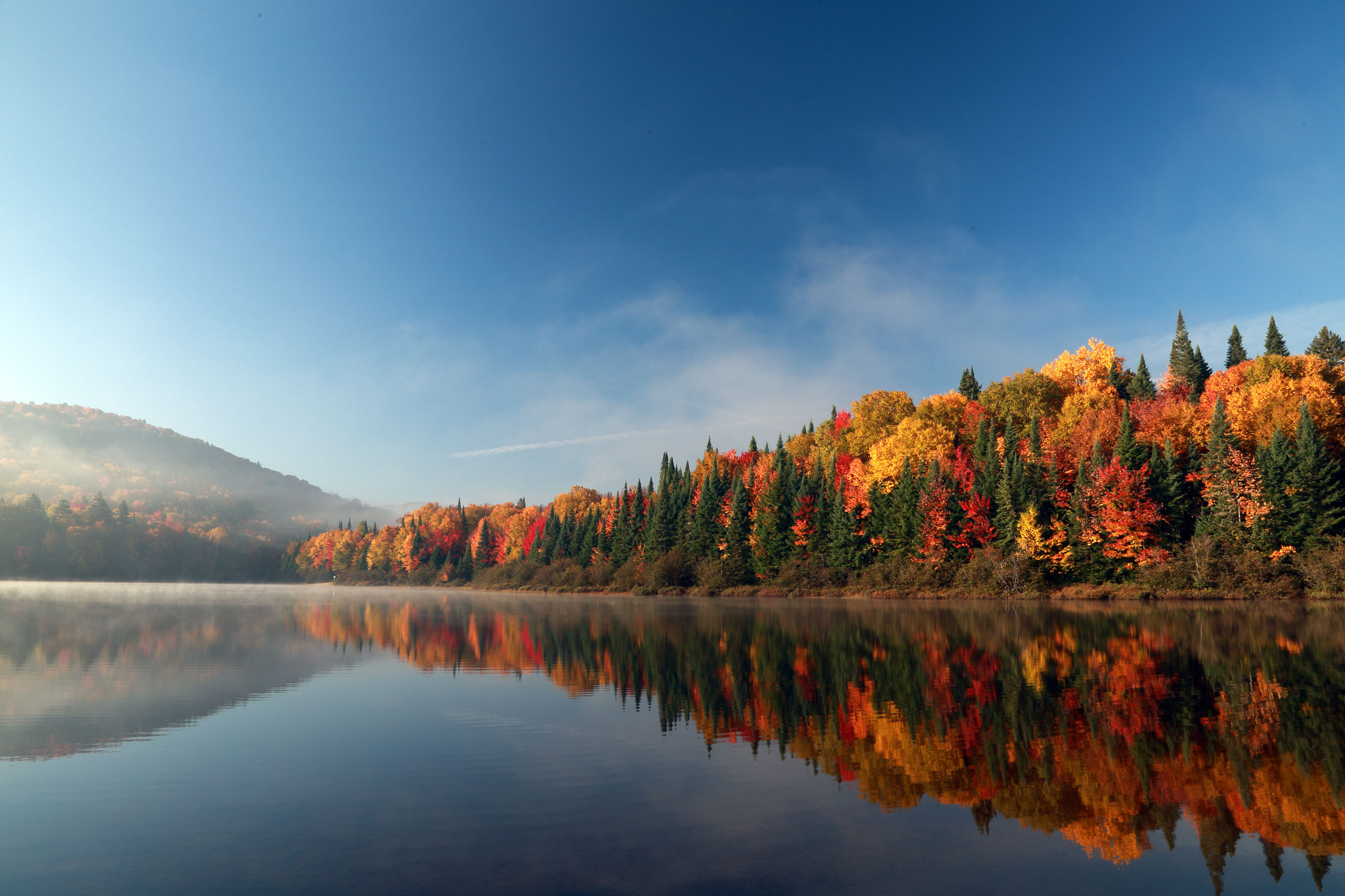 River and forest in fall colors in Quebec