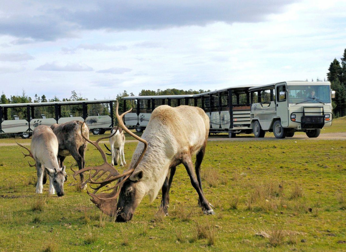 Image principale du voyage