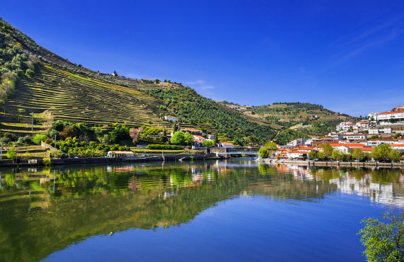 Douro Valley, terraced vineyards