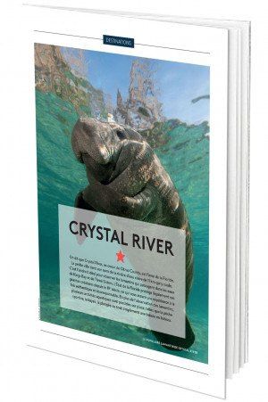 Guide voyage de Crystal River 2024