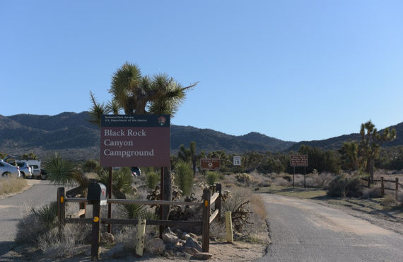 Joshua Tree National Park Black Rock Campground