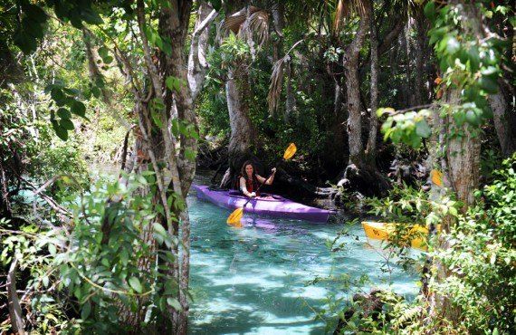 Balade en kayak, Crystal River, FL (Discover Crystal River Florida)