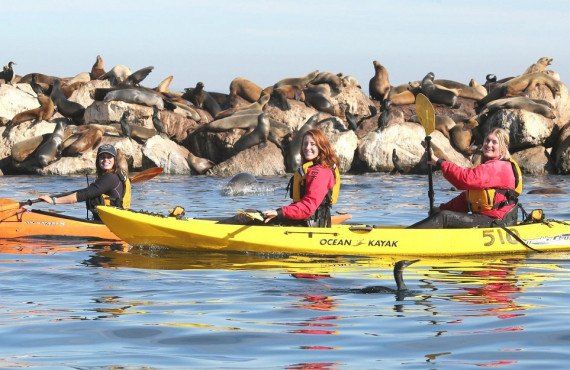 Randonnée en Kayak dans la Baie de Monterey