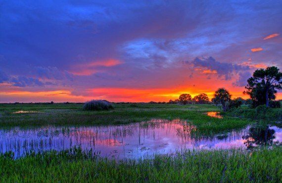 Parc des Everglades, Floride (DollarPhotoClub, John Anderson)