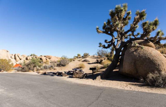 Camping Jumbo Rocks - Parc National Joshua Tree 