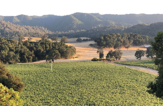 California Coast - Winery