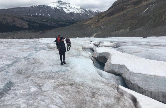 Crevasses on the glacier