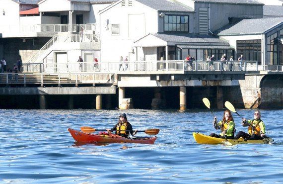 En Kayak dans la Baie de Monterey