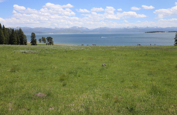 Yellowstone Lake