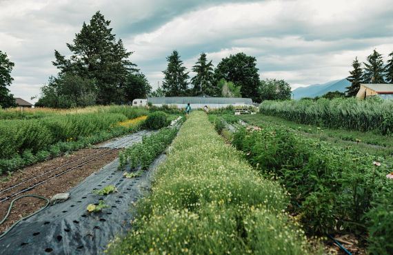 Harvest Hosts - Missoula