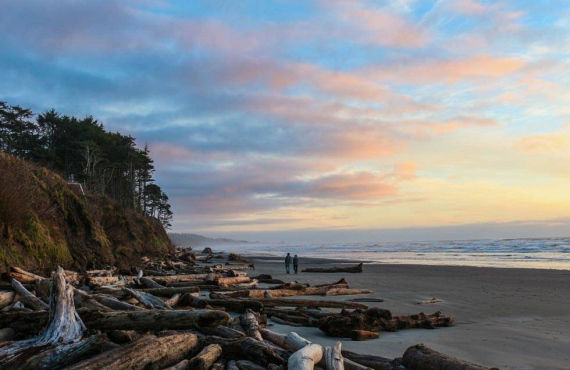 La plage près du Kalaloch Lodge