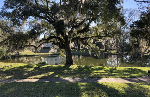 Greenwood Plantation