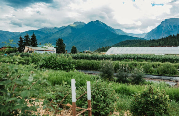 Harvest Hosts - Missoula